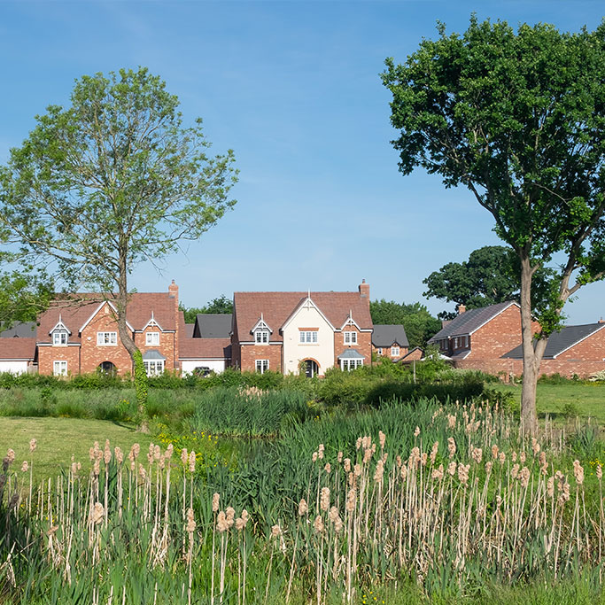 A community orchard